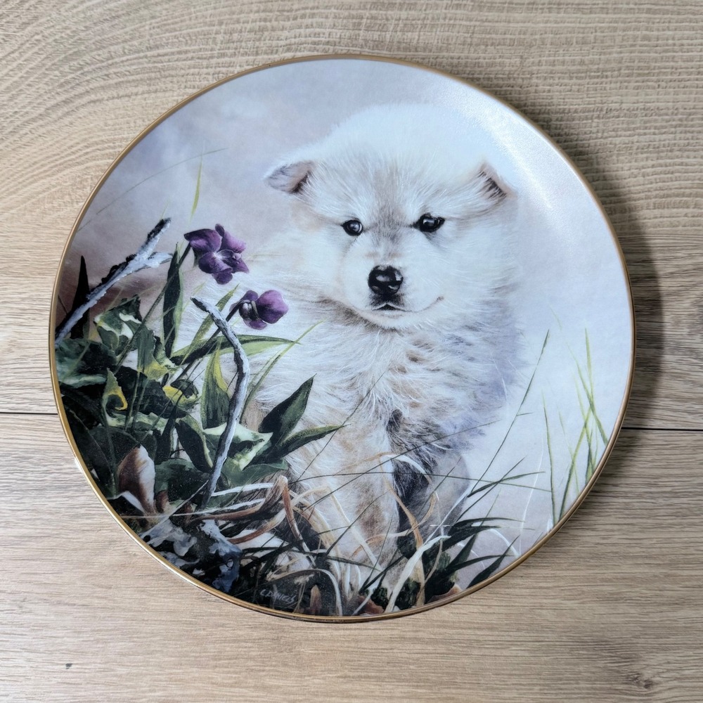 Bradford Exchange‎ Collector Plate Wolf Pups Early Aspirations 8.25" Gold Rim